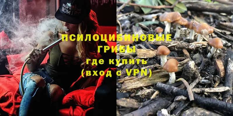 Псилоцибиновые грибы MAGIC MUSHROOMS  даркнет сайт  Старая Русса 